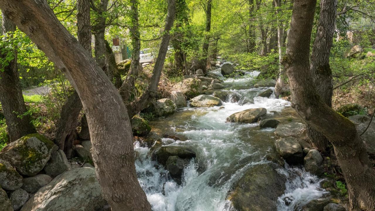 Apartamentos Turisticos Huerto El Horno 图瑞蒙戈 外观 照片