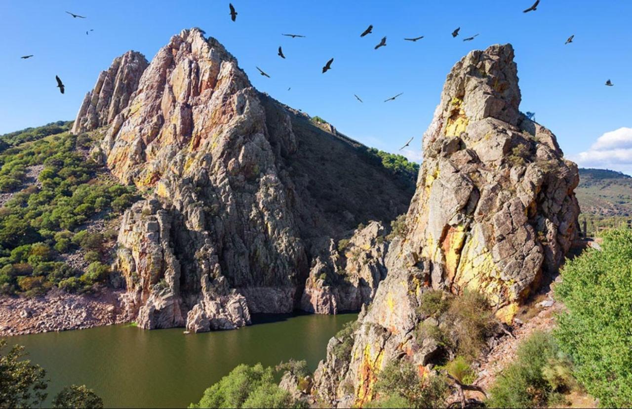 Apartamentos Turisticos Huerto El Horno 图瑞蒙戈 外观 照片